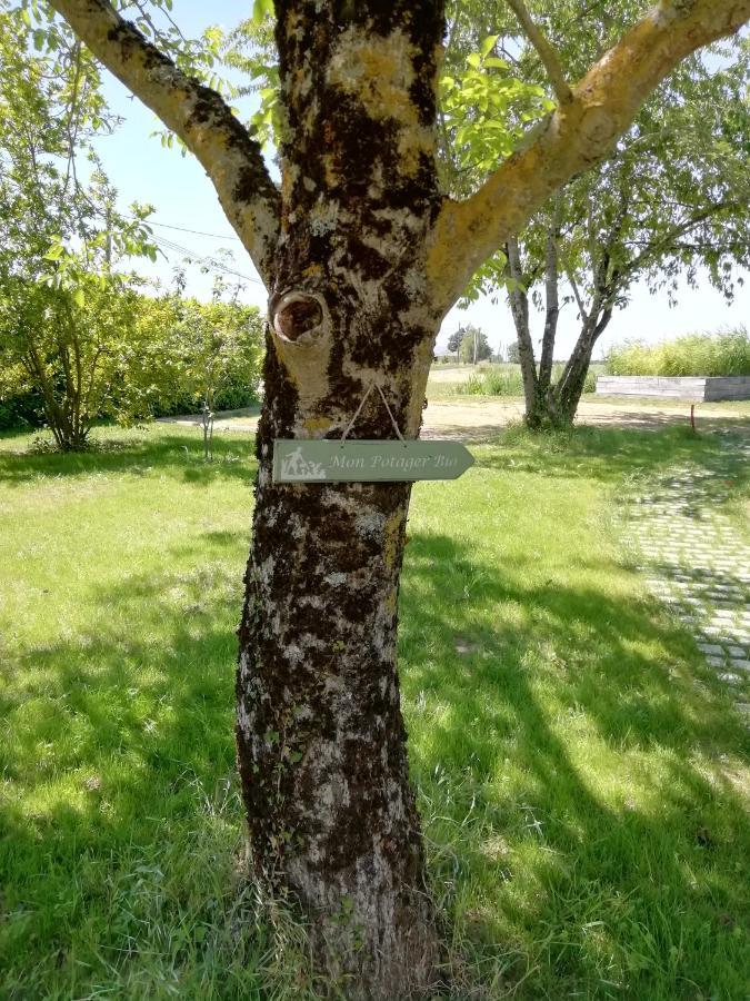 La Planche Princee, Chambres D'Hotes Ecolo Et Potager Bio, Sauna Les Rosiers-sur-Loire Luaran gambar