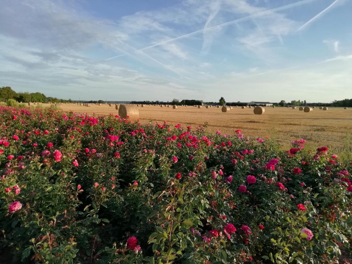 La Planche Princee, Chambres D'Hotes Ecolo Et Potager Bio, Sauna Les Rosiers-sur-Loire Luaran gambar